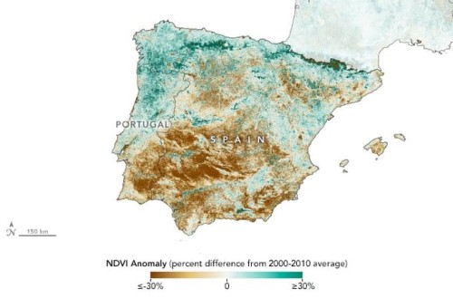 Del verde al marrón: la NASA da cuenta de la sequía en el olivar andaluz