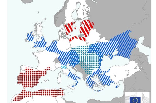 Bruselas certifica la grave afección de la sequía prolongada e intensa sobre los cultivos de la Península Ibérica