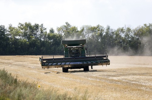 El comercio europeo prevé casi 297 Mt de cosecha de cereales en la UE-27+Reino Unido en 2023/24