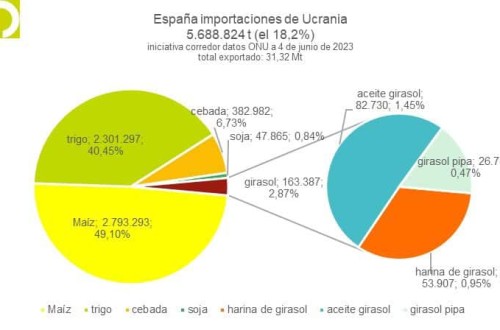 España importó ya cerca de 5,7 Mt de cereales y oleaginosas de Ucrania a través del corredor marítimo del Mar Negro