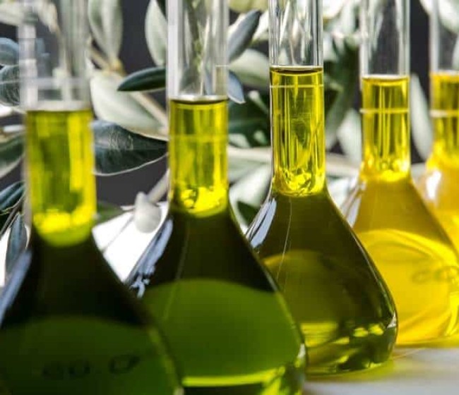 Con una producción de 255.742 toneladas en noviembre, las disponibilidades de aceite ya empiezan a ser suficientes