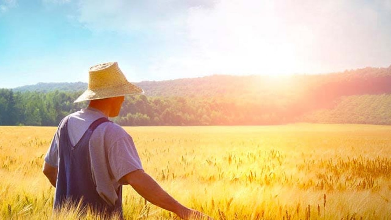 Ningún agricultor, ningún silvicultor, ningún pescador de Europa está en contra de restaurar la Naturaleza. Por Christiane Lambert.