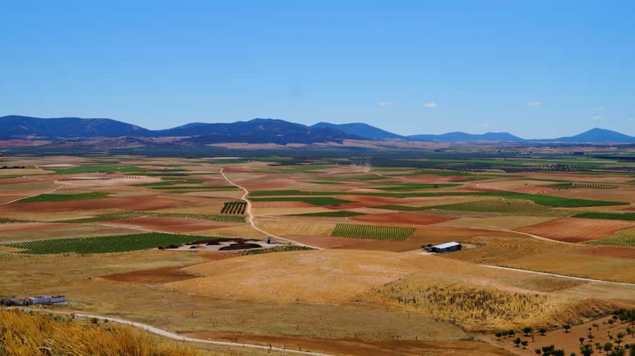 Hacienda regula la compensación de la exención en el IBI rústico de 2023 de las explotaciones agrarias afectadas por la sequía