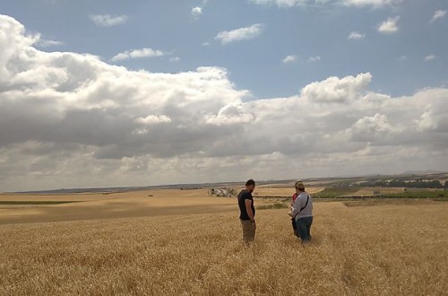 La sequía recorta hasta 278,1 Mt la previsión de cosecha de cereales en la UE para 2023/24