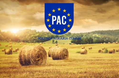 Cooperativas Agro-alimentarias de Andalucía pone a disposición a sus técnicos para la tramitación de la PAC