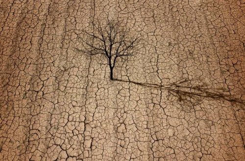 AVA-Asaja calcula que la sequía causa pérdidas de 250 millones y reclama una mesa para abordarla