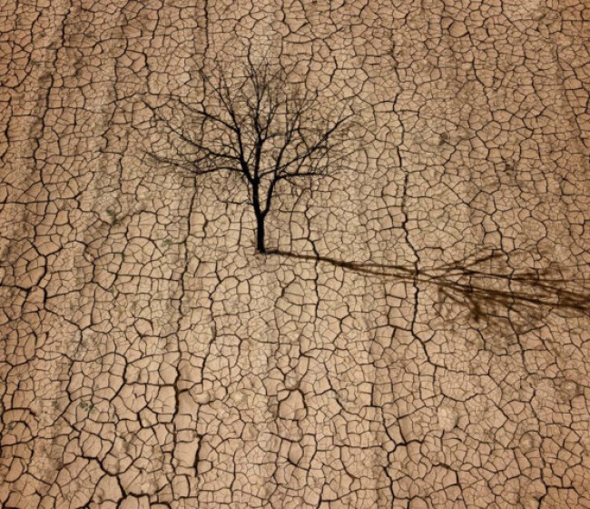 AVA-Asaja calcula que la sequía causa pérdidas de 250 millones y reclama una mesa para abordarla