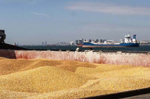 La FAO prevé una producción mundial récord de cereales, incluido arroz, de 2.819 Mt en 2023/24