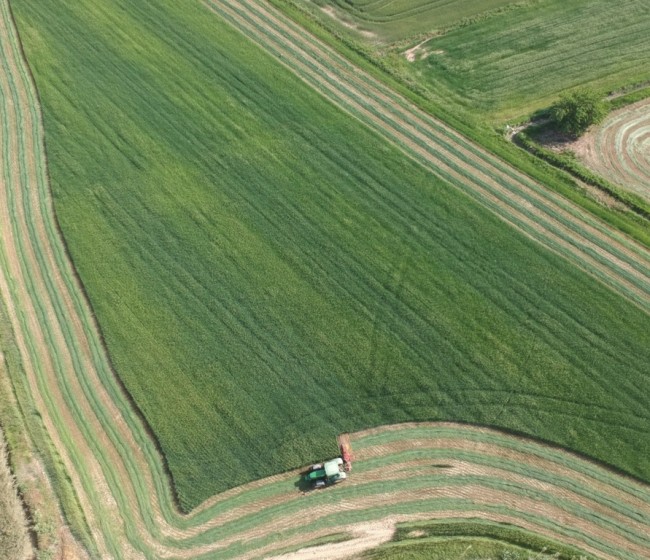 La alfalfa acaba una buena campaña con una producción que supera el millón de toneladas y un abaratamiento del 36%