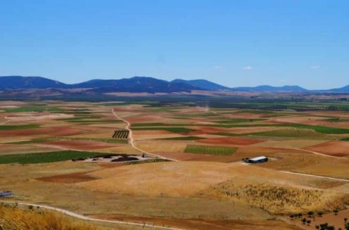 Castilla y León convoca las ayudas de asesoramiento a explotaciones agrarias para la campaña 2024-2025