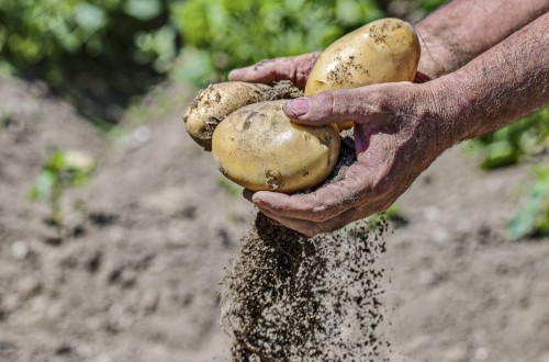 Nueva edición del Concurso FotoRural dedicada a la innovación y tradición en la producción de alimentos