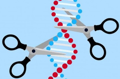 La CE da a conocer su propuesta legislativa sobre Nuevas Técnicas Genómicas de reproducción vegetal