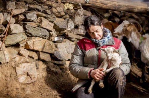 La ganadera española Clara Benito, galardonada en la II edición de los Premios de la Agricultura Ecológica de la UE