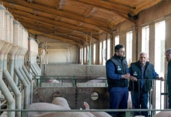 Las granjas porcinas refuerzan la formación para crecer