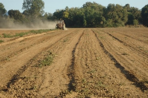 Eurostat: un 93% de las 9,1 millones de explotaciones agrarias de la UE son de gestión familiar