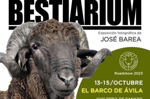 Bestiarium, la exposición trashumante de Interovic, hace su última parada en Barco de Ávila