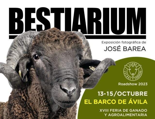 Bestiarium, la exposición trashumante de Interovic, hace su última parada en Barco de Ávila