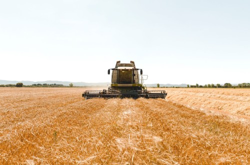 La FAO prevé un récord de existencias de cereales en el mundo al final de 2023/24