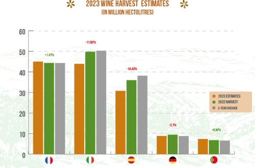 La producción vitivinícola de la UE se reduce hasta 150 Mhl en 2023/24, un 5,5% menos que la media del último lustro