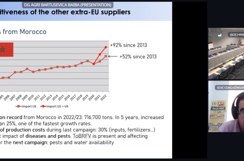 COAG carga contra la competencia desleal de las importaciones en el Observatorio del Mercado de Tomate de la UE