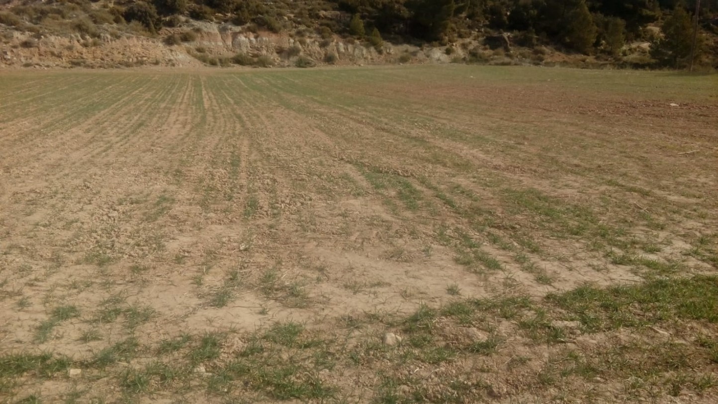Castilla y León: cerca de 13.500 agricultores y ganaderos piden ayudas para 564 M€ de préstamos preferenciales por sequía