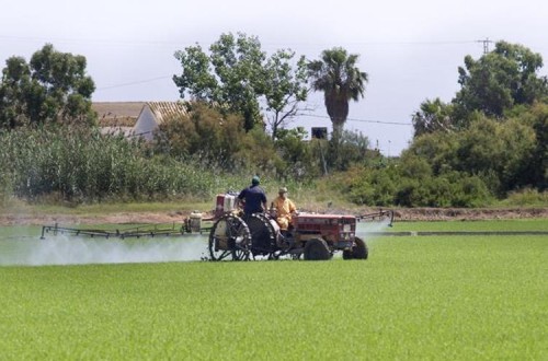 Varias organizaciones agrarias europeas piden por carta a la CE renovar la autorización de uso del glifosato por otros 15 años más