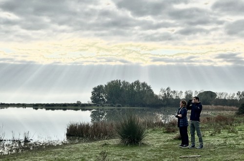 Desatascado el pacto por Doñana: el Parlamento de Andalucía convalida el cambio de suelo forestal a cultivos