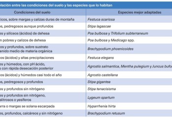 ¿De qué nos hablan los pastos?