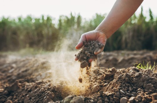 La CE aprueba el plan español de ayudas de Estado por 400 M€ para subvencionar las primas del seguro agrario hasta final de 2024