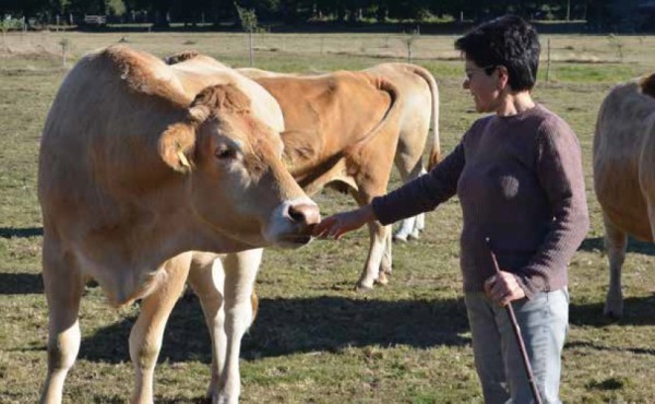 Nutrición y características diferenciales de la Ternera Gallega Suprema