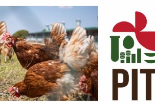 Jornada divulgativa sobre bioseguridad en avicultura