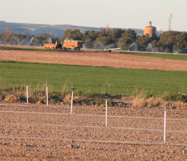 La compraventa de fincas rústicas cae un 9,2% interanual en agosto