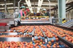 La facturación de la industria alimentaria crece el 1,9% anual en septiembre y acumula en el año una subida del 3,4%