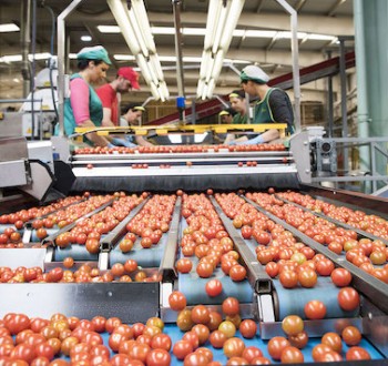 Los precios de la industria alimentaria retroceden un 0,3% interanual en septiembre