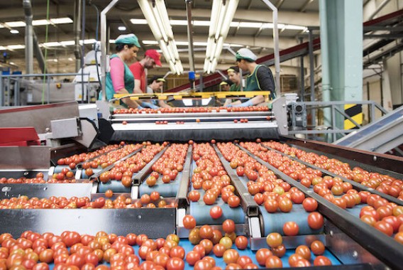 Los precios de la industria alimentaria retroceden un 0,3% interanual en septiembre