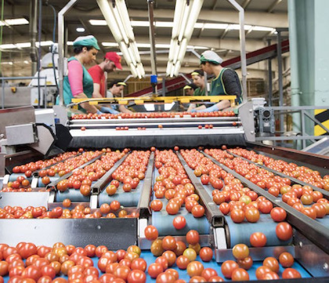 Los precios de la industria alimentaria retroceden un 0,3% interanual en septiembre