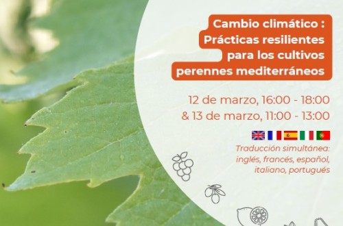 Webinar: «Cambio climático: Prácticas resilientes para los cultivos perennes mediterráneos»