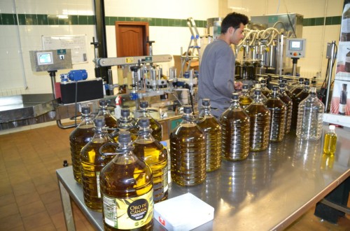 La producción nacional de aceite de oliva se eleva ya a casi 830.000 t en la campaña 2023/24