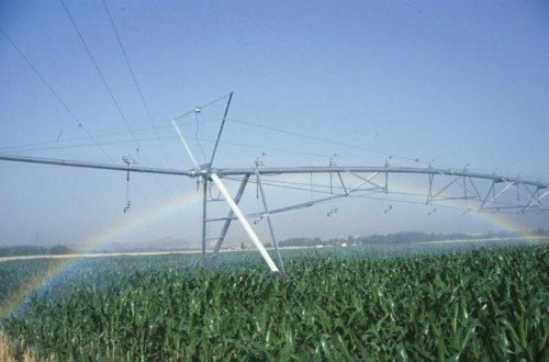 La Junta de Castilla y León impulsa actuaciones en más de 49.000 hectáreas de regadío de León con un inversión de más de 90 millones