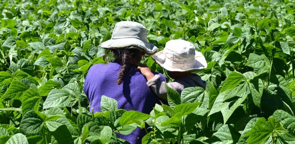 agricultura_familiar