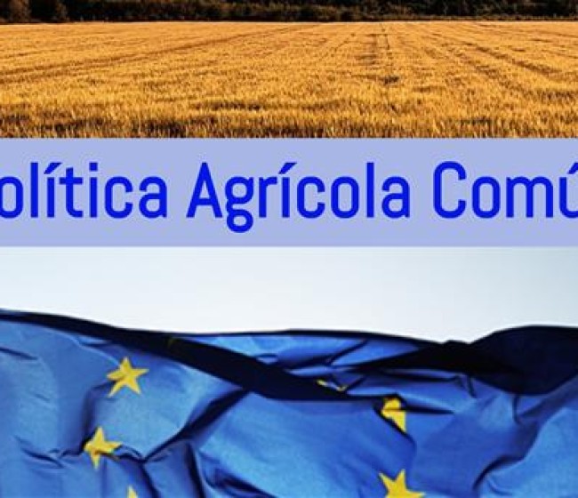 Novedades en la Solicitud Única de la PAC para 2025: simplificación y flexibilidad para agricultores y ganaderos