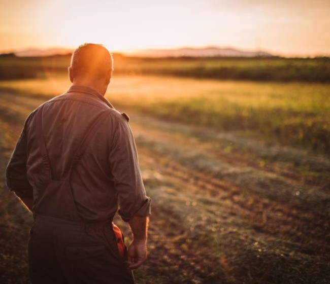 El 85% de los agricultores y ganaderos planea renovar su seguro agrario, según Agroseguro