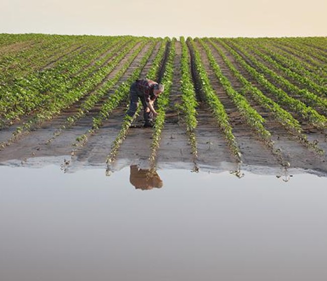 Los costes de producción caen un 9% anual y un 0,6% los precios en origen en octubre