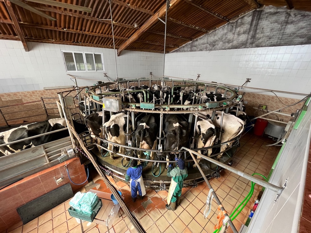 Las granjas de vacuno de leche en Castilla y León bajan de las 700 tras perder 440 explotaciones desde 2018