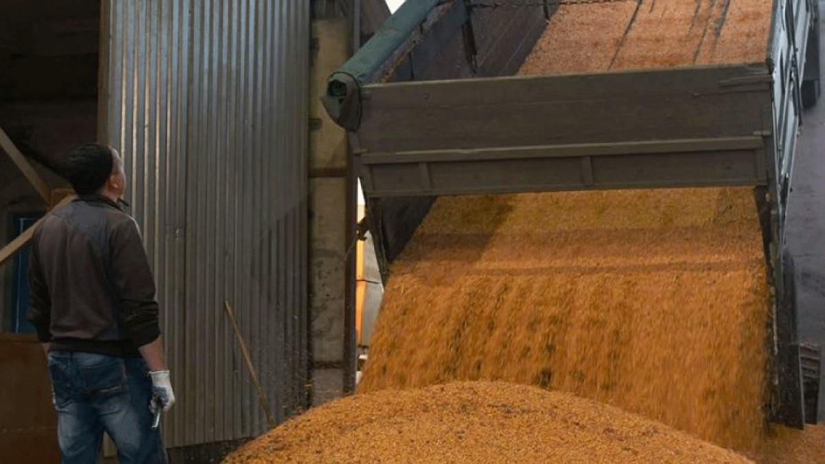 El 1 de julio entra en vigor el aumento de aranceles de la UE a los cereales y otros productos rusos y bielorrusos
