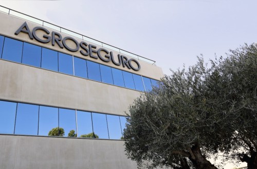 El Plan 2024 de seguros pecuarios de Agroseguro arranca el 1 de junio e incluye 12 líneas ganaderas y 3 acuícolas