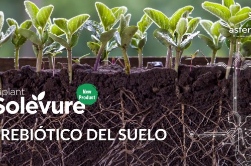 Kiplant Solevure, el nuevo prebiótico para suelos agrícolas de Asfertglobal