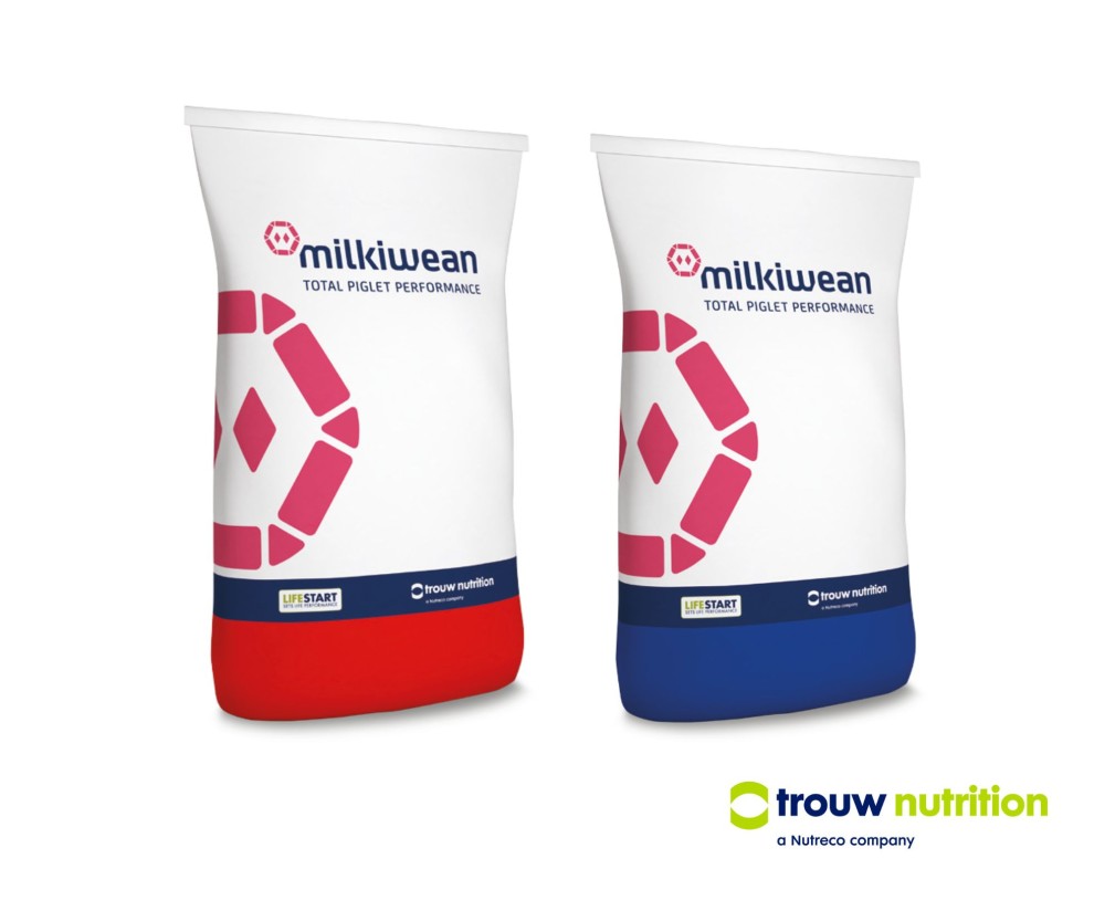 Trouw Nutrition presenta un programa nutricional para el sistema inmune del lechón