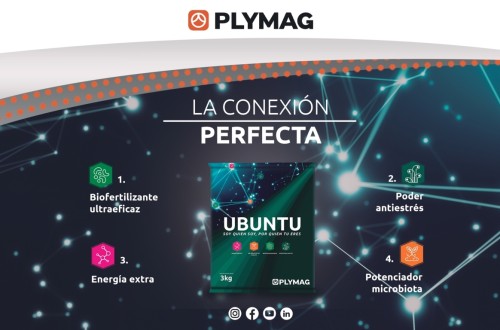 Plymag lanza al mercado Ubuntu, un producto diseñado para potenciar la salud y productividad de los cultivos