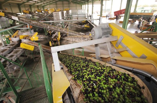 Andalucía autoriza ayudas para la transformación sostenible del alperujo en biocombustible